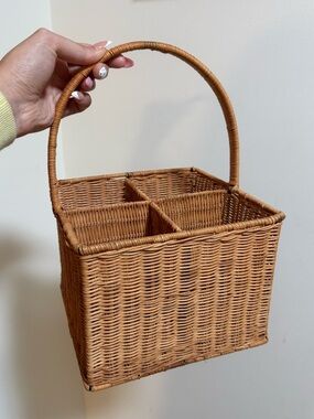 Woven Rattan Handled Basket - Natural Brown